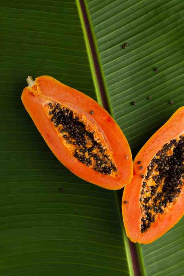 Imagen de portada de American Papayas